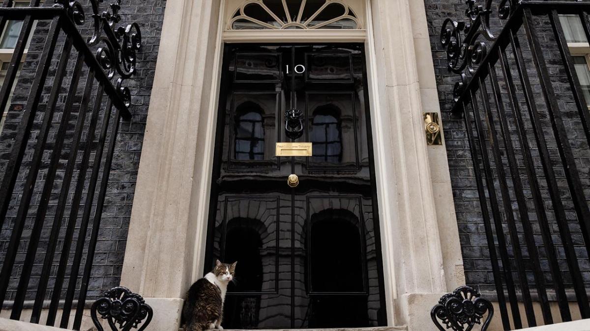 Betfair Predicts new election odds tool